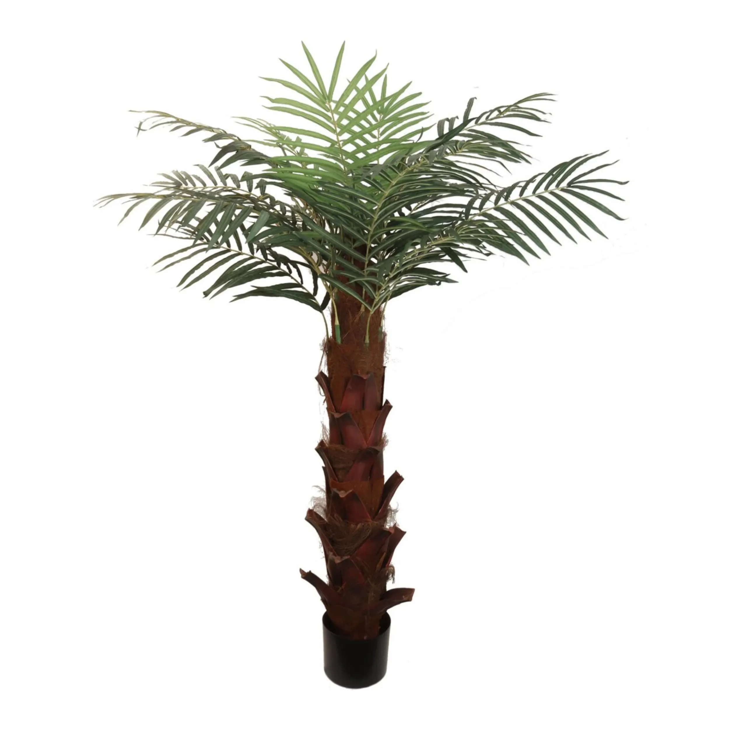 6ft Areca Palm Tree in Black Pot w/ Silk Leaves