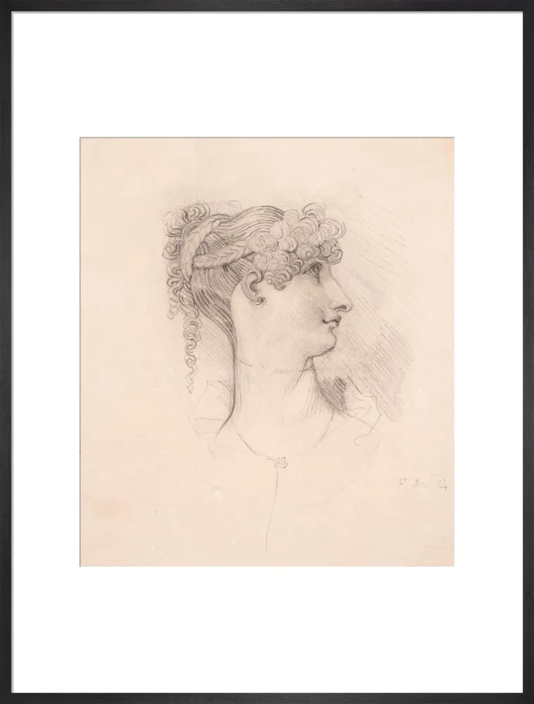 Henry Fuseli, Lavinia de Irujo in profile, facing right